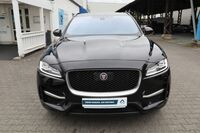 JAGUAR JAGUARBild 3