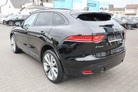 JAGUAR JAGUARBild 8