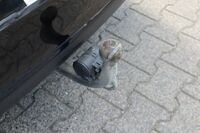 BMW BMWBild 22